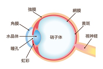 大みか大学７月講座